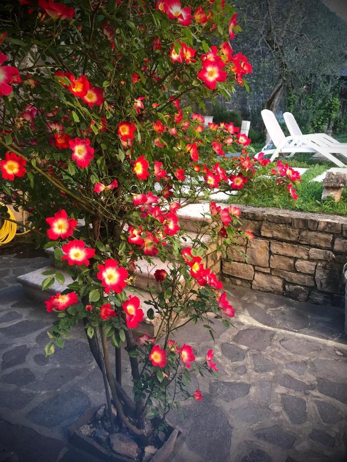 Torre - Atmosfera Romantica Gasthof *